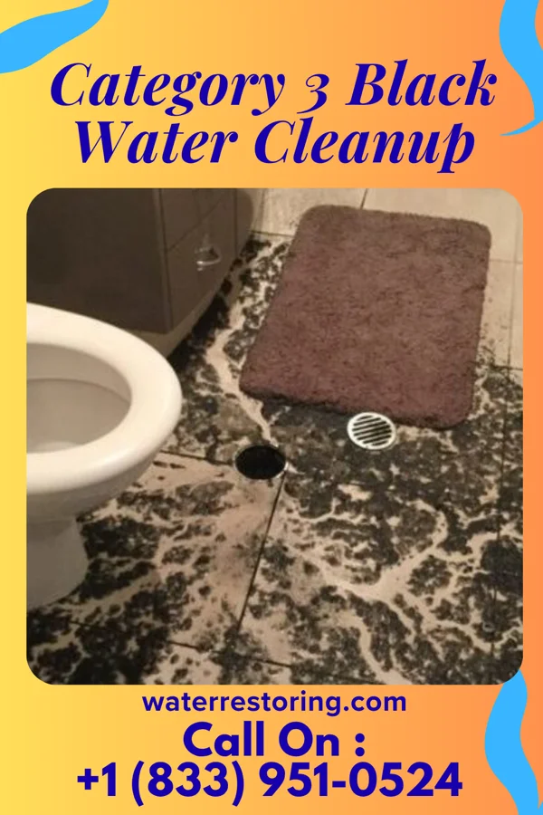 Category 3 Black Water Cleanup in Pierpont, MO